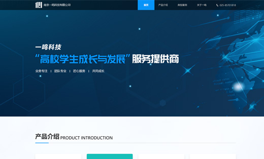 企业网站建设